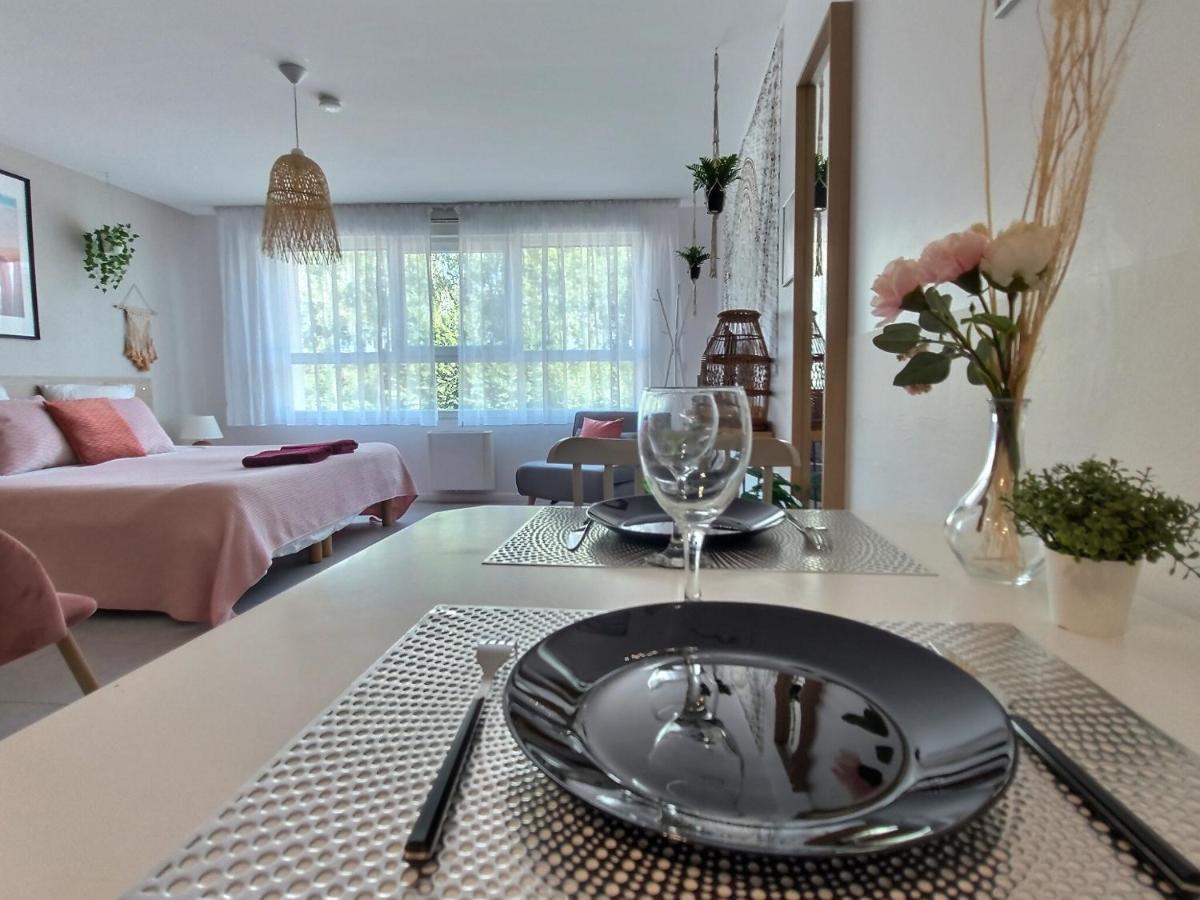 L'Amazonie - Roissy Cdg - Parc Asterix - Paris Apartment Moussy-le-Neuf Exterior photo